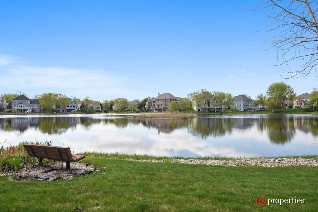 1265 N Lakeview Drive Palatine, Illinois 60067 - Back Yard