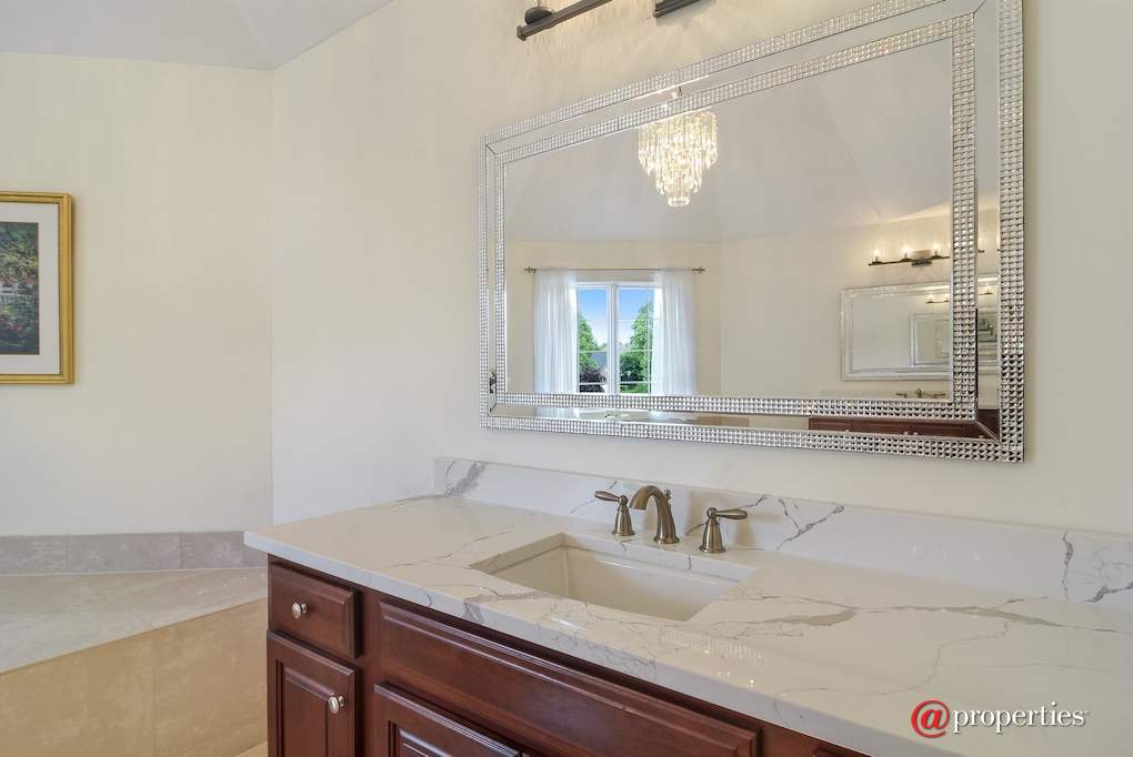 1265 N Lakeview Drive Palatine, Illinois 60067 - Master Bathroom