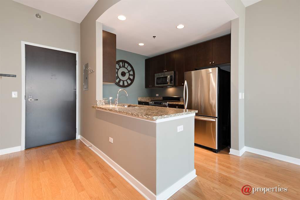 303 W Ohio Street #2909 Chicago, Illinois 60654 - Kitchen