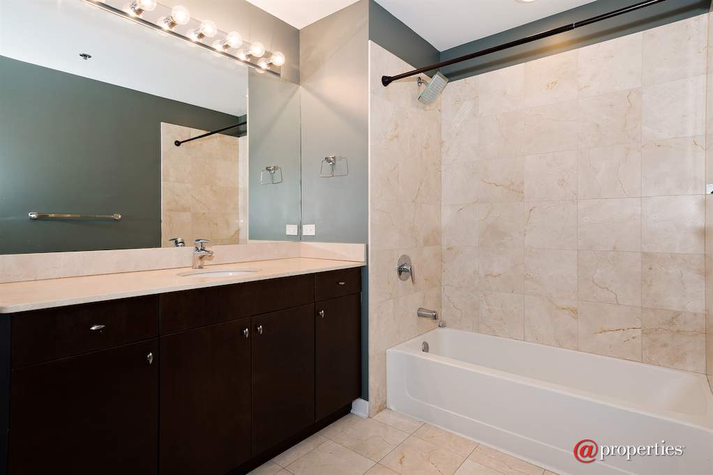 303 W Ohio Street #2909 Chicago, Illinois 60654 - Bathroom