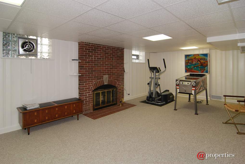 1435 Franklin Avenue River Forest, Illinois 60305 - Basement
