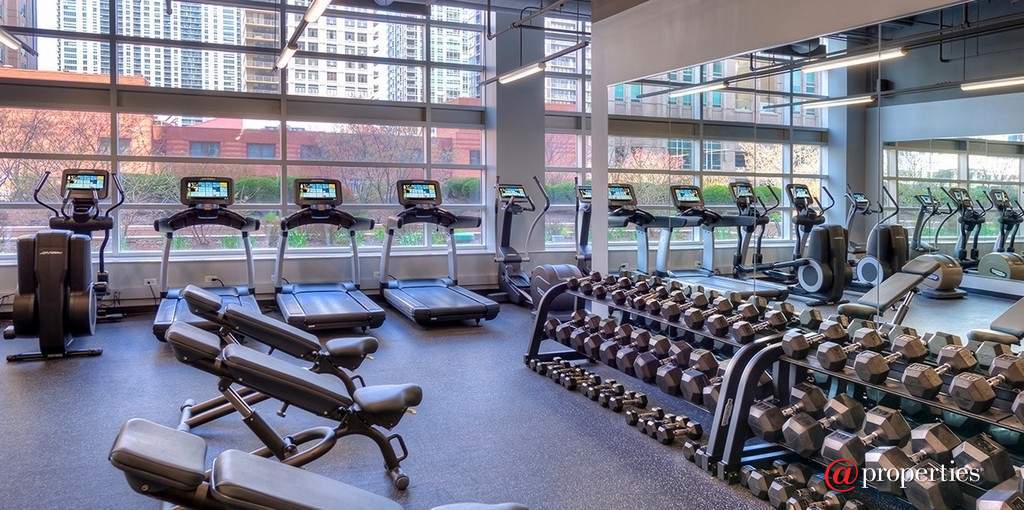 545 N Dearborn Street #3202 Chicago, Illinois 60654 - Image 14