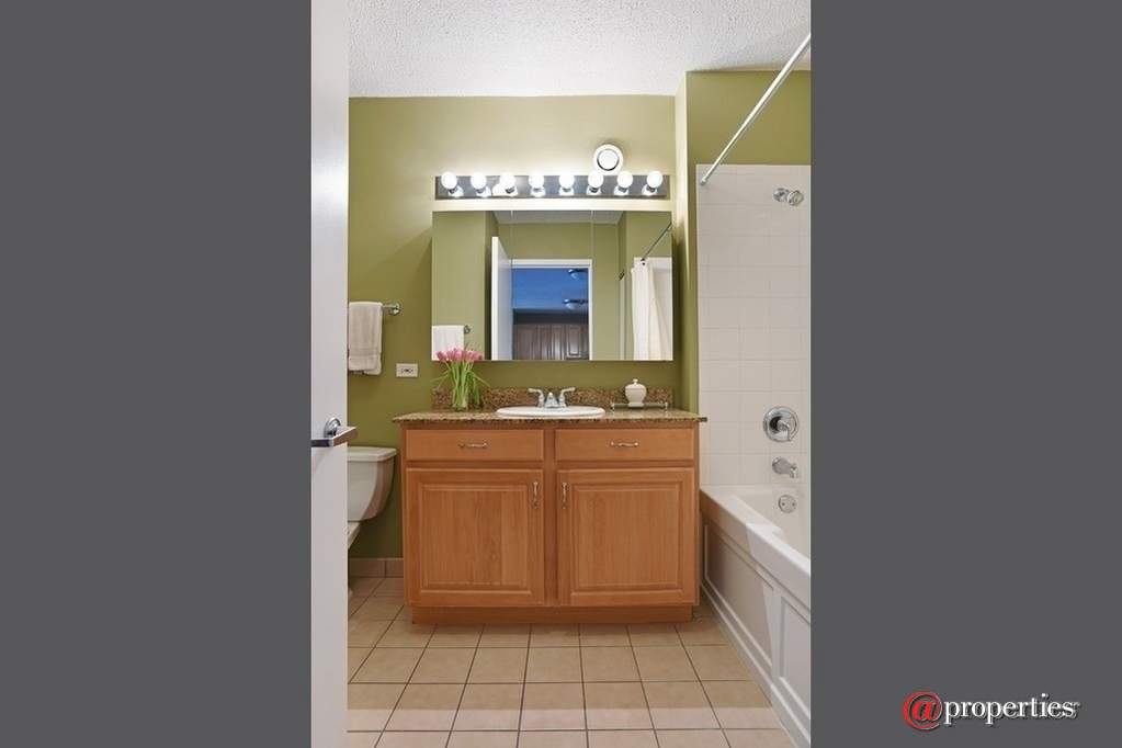 545 N Dearborn Street #3202 Chicago, Illinois 60654 - Image 6