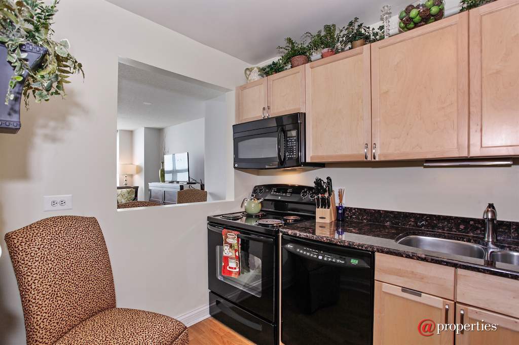 474 N Lake Shore Drive #3609 Chicago, Illinois 60611 - Kitchen