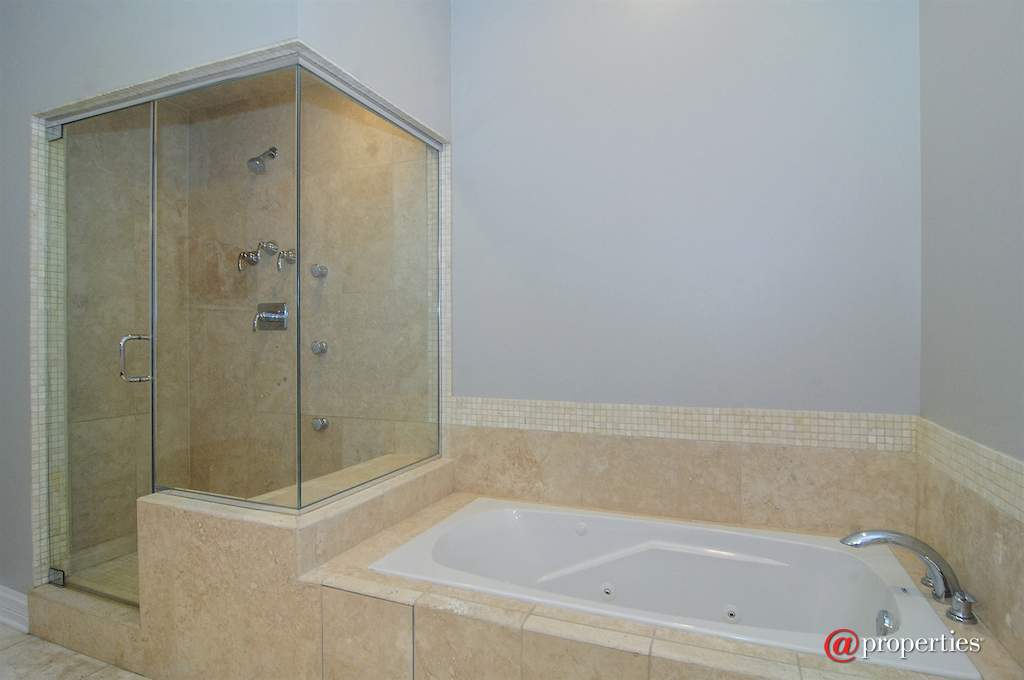 3713 N Ashland Avenue #3S Chicago, Illinois 60613 - Master Bathroom