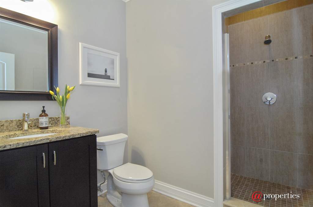 3713 N Ashland Avenue #3S Chicago, Illinois 60613 - 3rd Bathroom