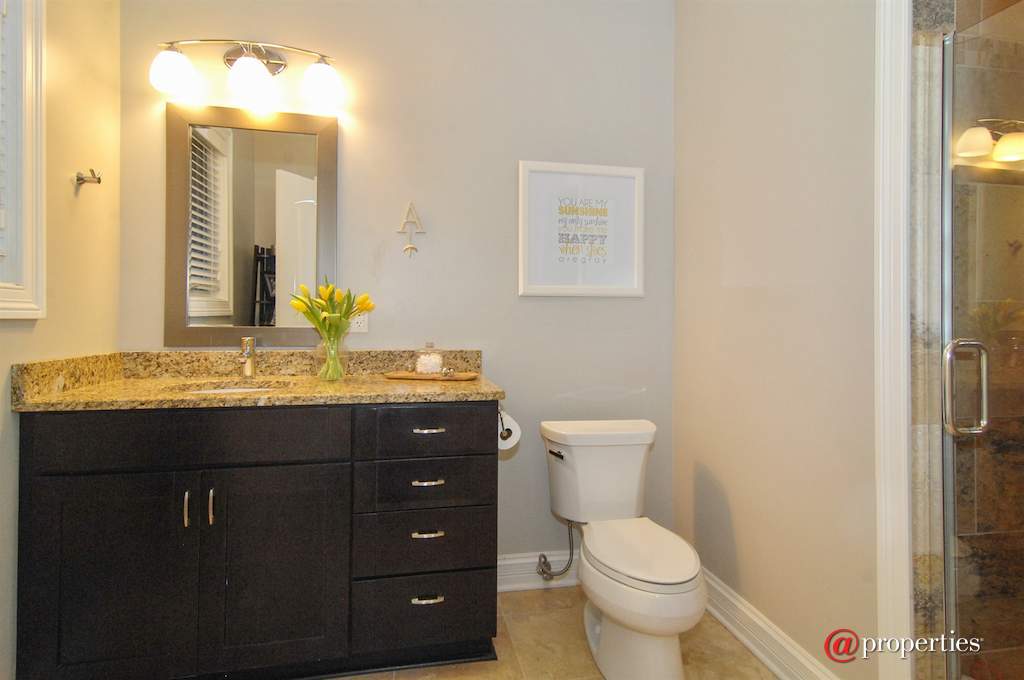 3713 N Ashland Avenue #3S Chicago, Illinois 60613 - 2nd Bathroom