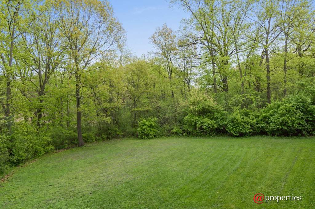 26709 N Countryside Lake Drive Mundelein, Illinois 60060 - Back Yard
