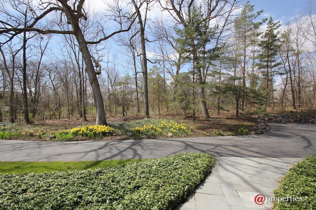 26709 N Countryside Lake Drive Mundelein, Illinois 60060 - Image 1