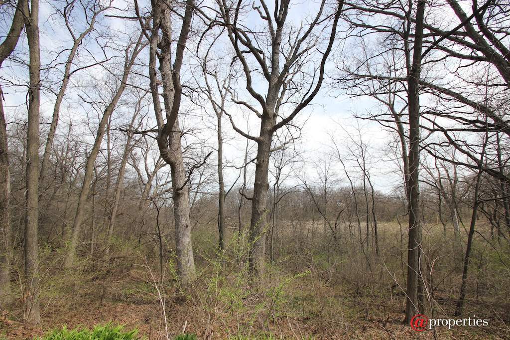 26709 N Countryside Lake Drive Mundelein, Illinois 60060 - Image 44