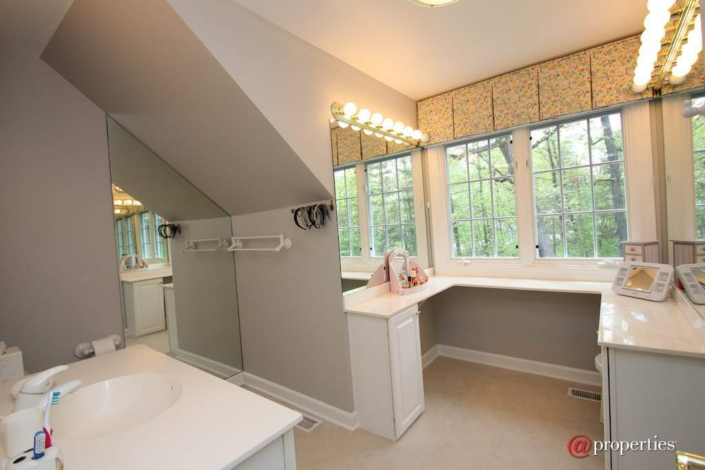 26709 N Countryside Lake Drive Mundelein, Illinois 60060 - Bathroom 2- Princess Suite