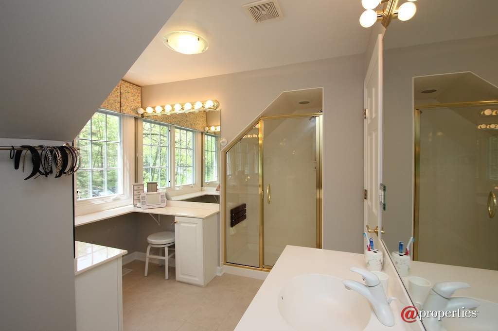 26709 N Countryside Lake Drive Mundelein, Illinois 60060 - Bathroom 2 - Princess Suite