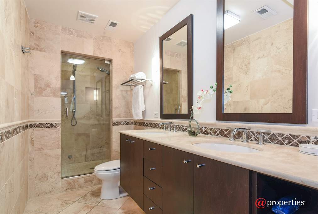 1728 N Damen Avenue #107 Chicago, Illinois 60647 - Master Bathroom