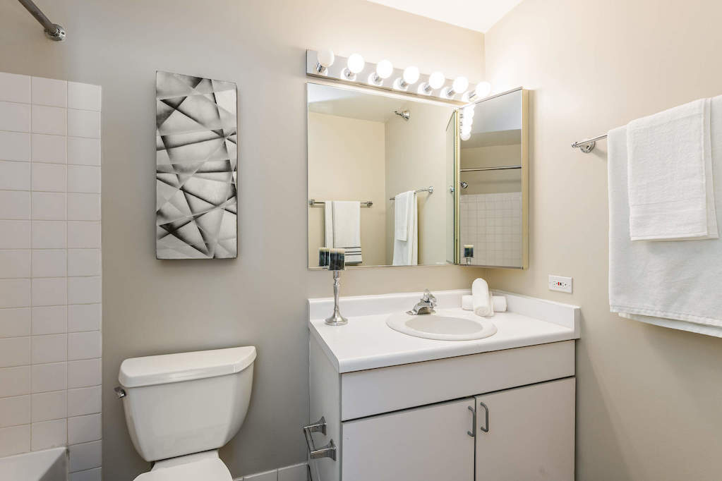 474 N Lake Shore Drive #6004 Chicago, Illinois 60611 - Bathroom