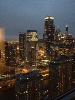 474 N Lake Shore Drive #6004 Chicago, Illinois 60611 - Image 20