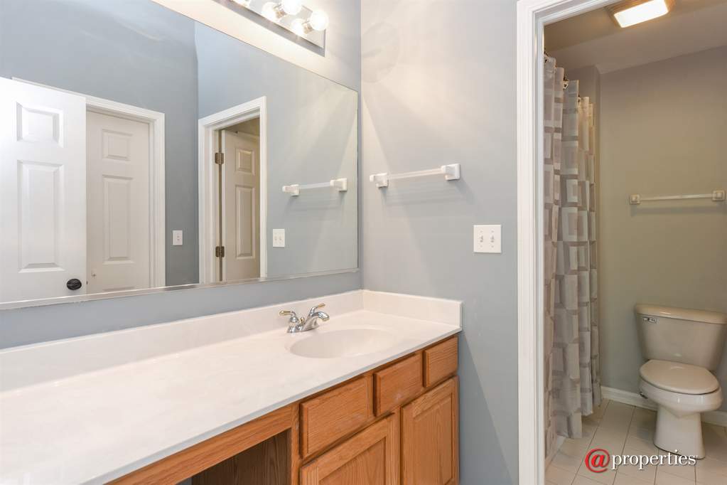 8140 S Boulder Court Long Grove, Illinois 60047 - Bathroom