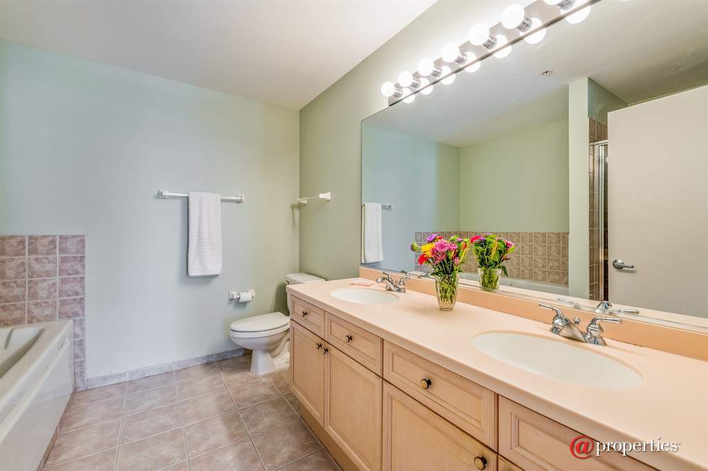21 W Chestnut Street #906 Chicago, Illinois 60611 - Master Bathroom