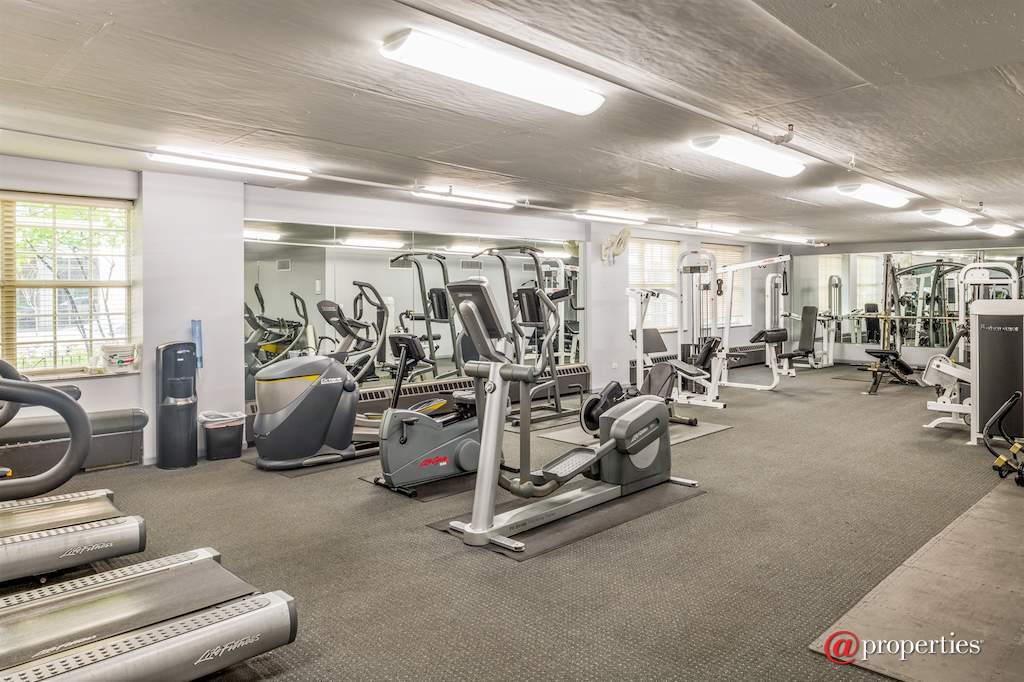 21 W Chestnut Street #906 Chicago, Illinois 60611 - Gym