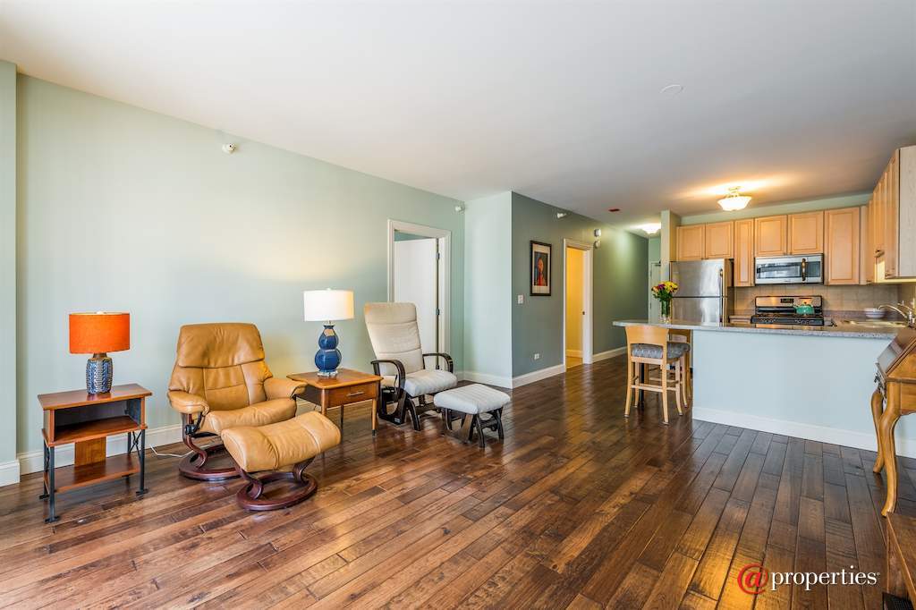 21 W Chestnut Street #906 Chicago, Illinois 60611 - Living Room