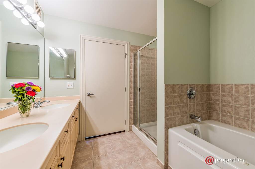 21 W Chestnut Street #906 Chicago, Illinois 60611 - Master Bathroom