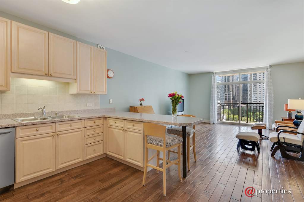 21 W Chestnut Street #906 Chicago, Illinois 60611 - Kitchen / Living Room
