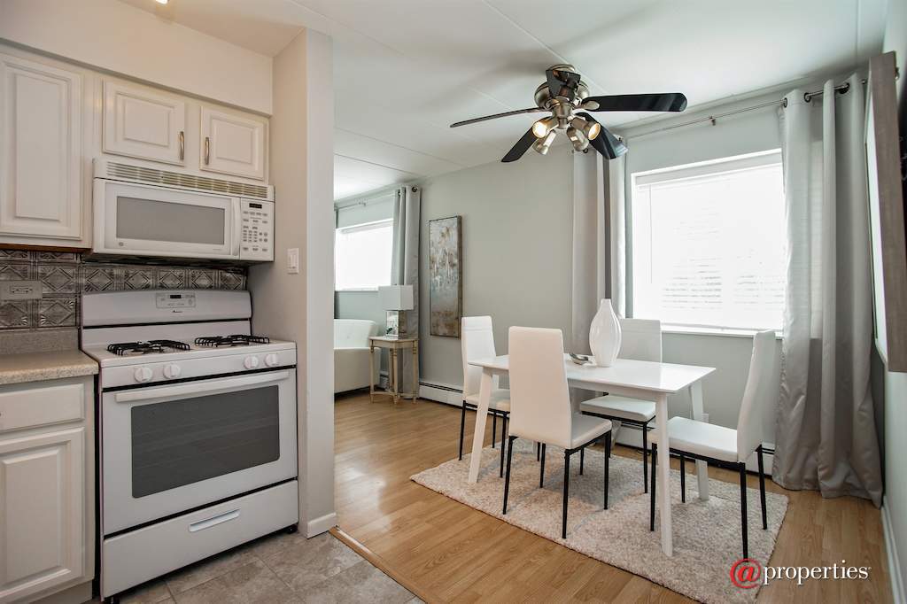 4602 River Road #A1 Schiller Park, Illinois 60176 - Kitchen