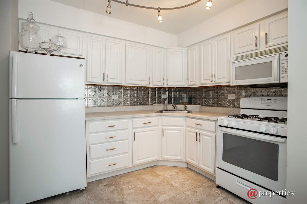 4602 River Road #A1 Schiller Park, Illinois 60176 - Kitchen