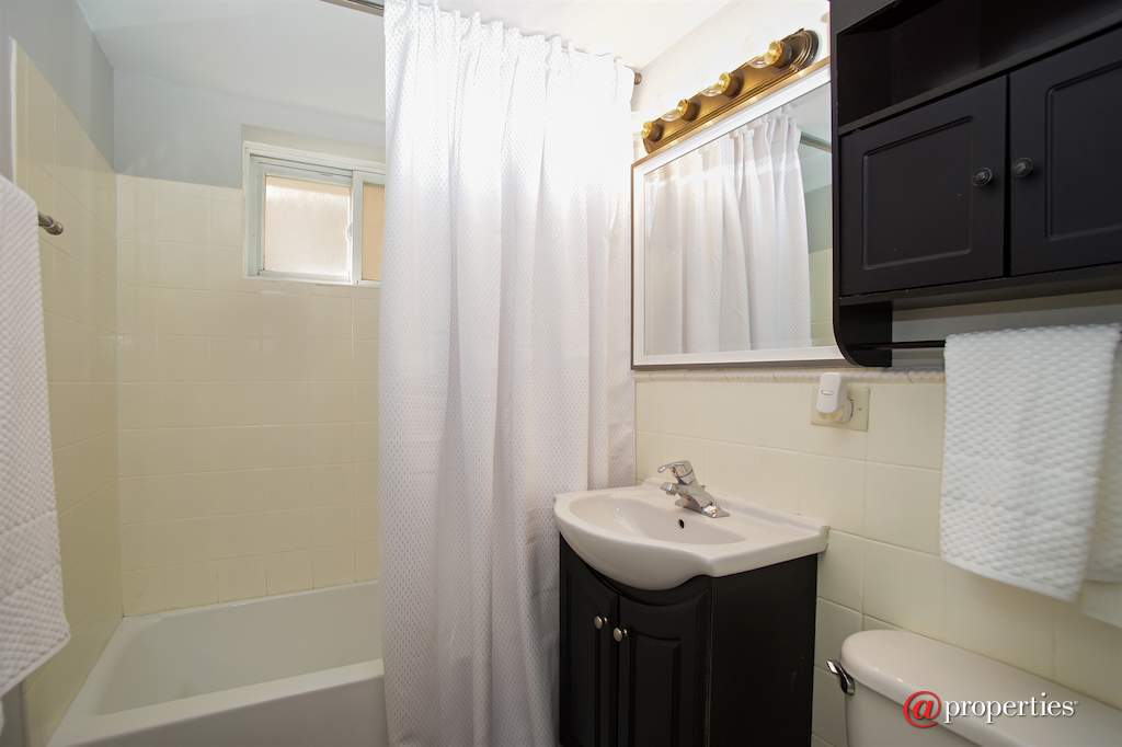 4602 River Road #A1 Schiller Park, Illinois 60176 - Bathroom
