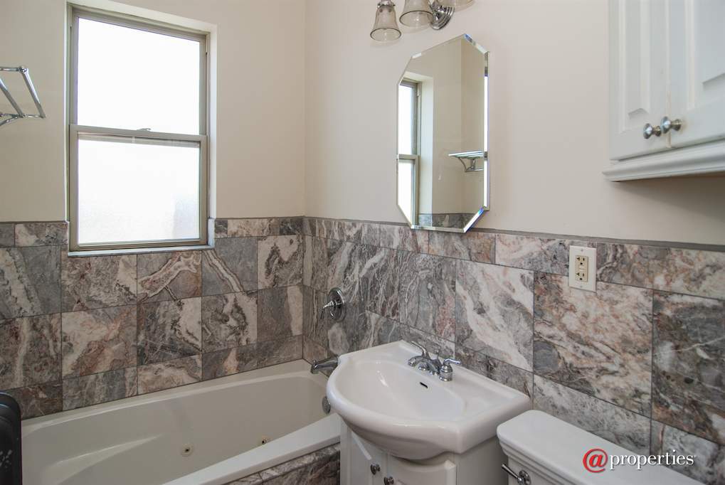 432 S Euclid Avenue #3E Oak Park, Illinois 60302 - Bathroom