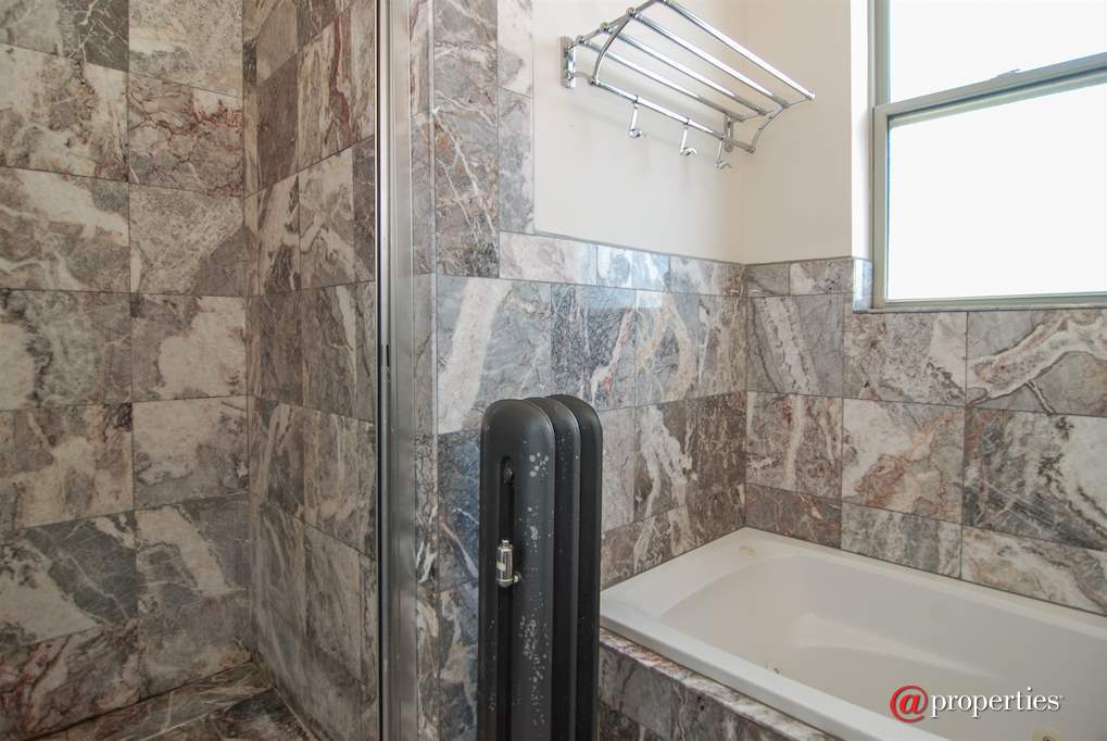 432 S Euclid Avenue #3E Oak Park, Illinois 60302 - Bathroom