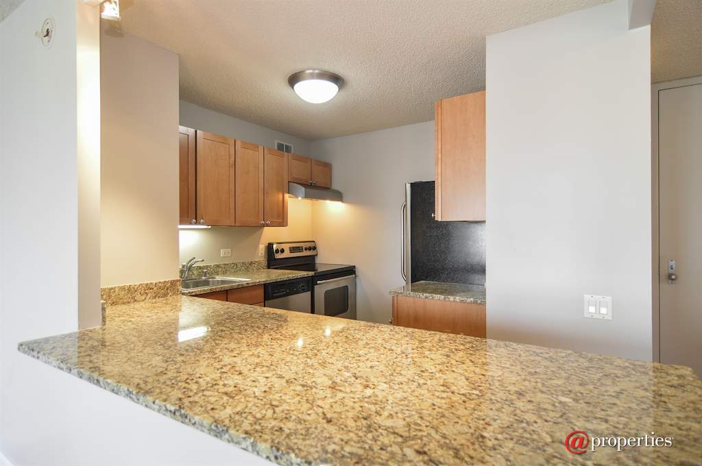 30 E Huron Street #3008 Chicago, Illinois 60611 - Kitchen