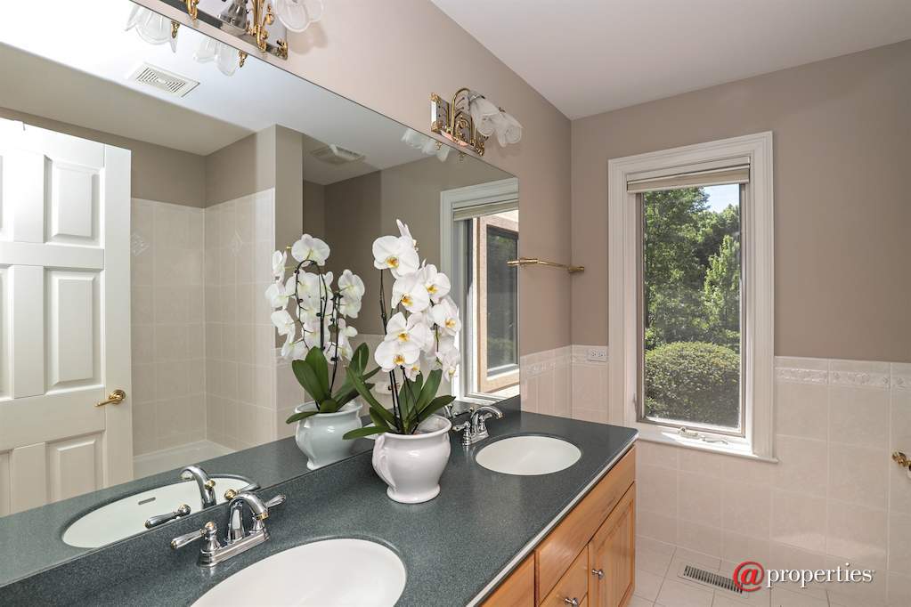 28797 N Sky Crest Drive Ivanhoe, Illinois 60060 - Bathroom