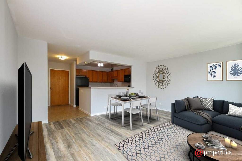 211 E Ohio Street #2404 Chicago, Illinois 60611 - Image 6