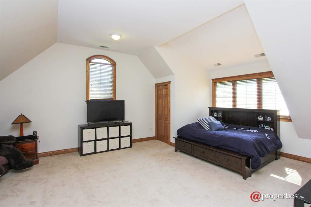 2 Saddle Ridge Court Hawthorn Woods, Illinois 60047 - Bonus Room