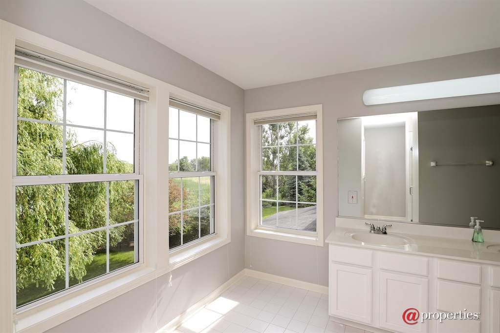 1128 Hedgerow Drive Grayslake, Illinois 60030 - Master Bathroom