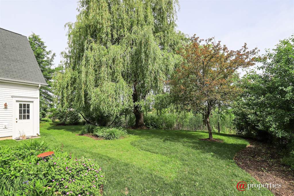 1128 Hedgerow Drive Grayslake, Illinois 60030 - Back Yard