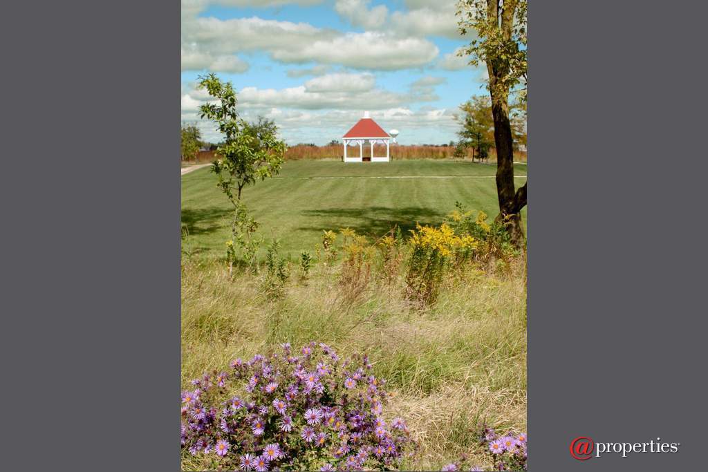 1128 Hedgerow Drive Grayslake, Illinois 60030 - Image 33