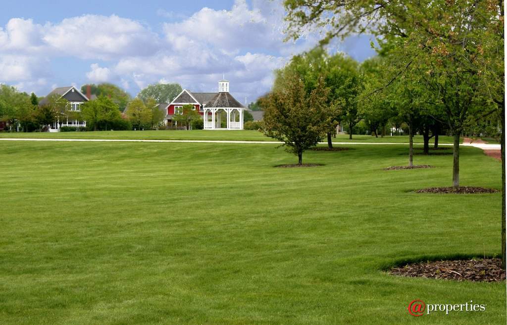 1128 Hedgerow Drive Grayslake, Illinois 60030 - Image 36