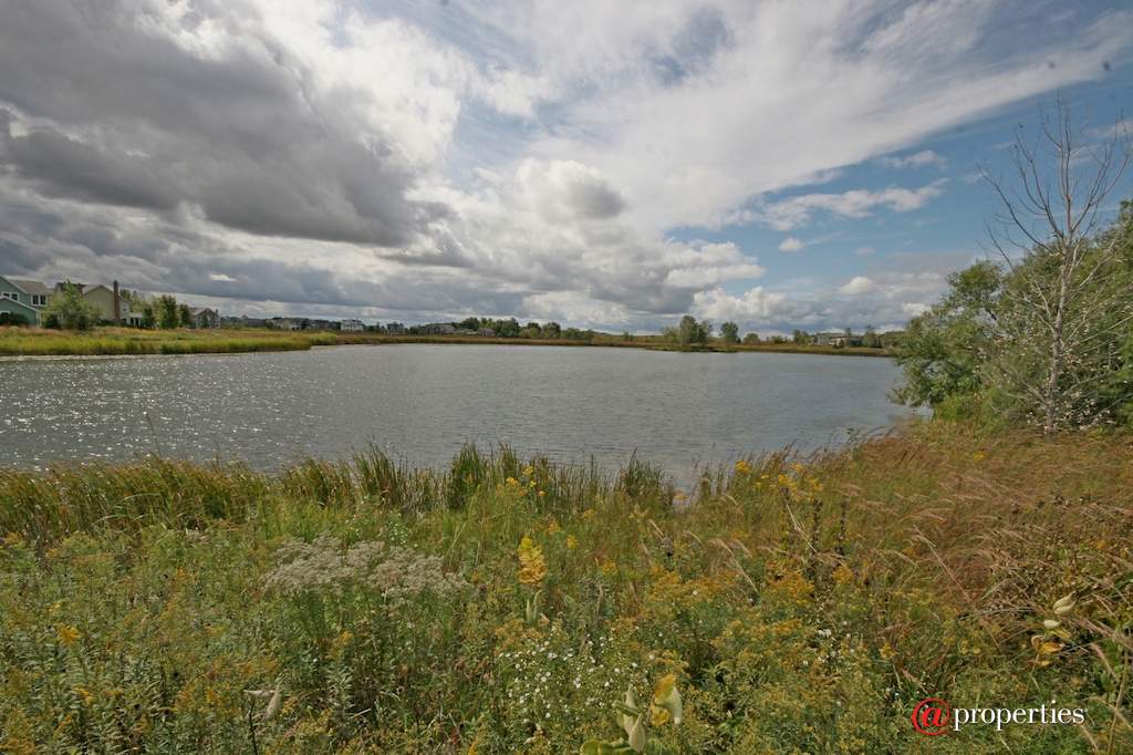 1128 Hedgerow Drive Grayslake, Illinois 60030 - Image 41