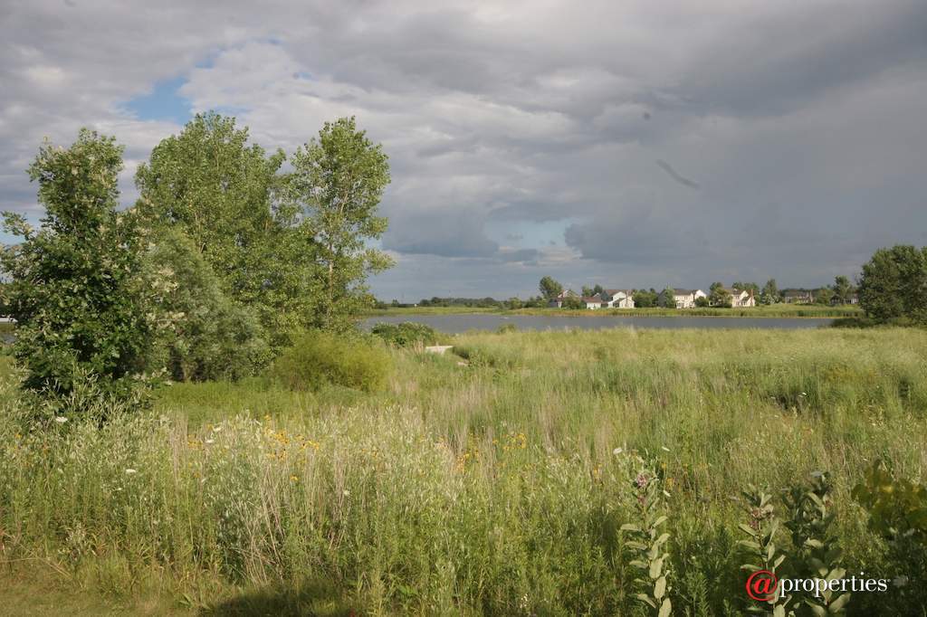 1128 Hedgerow Drive Grayslake, Illinois 60030 - Image 43