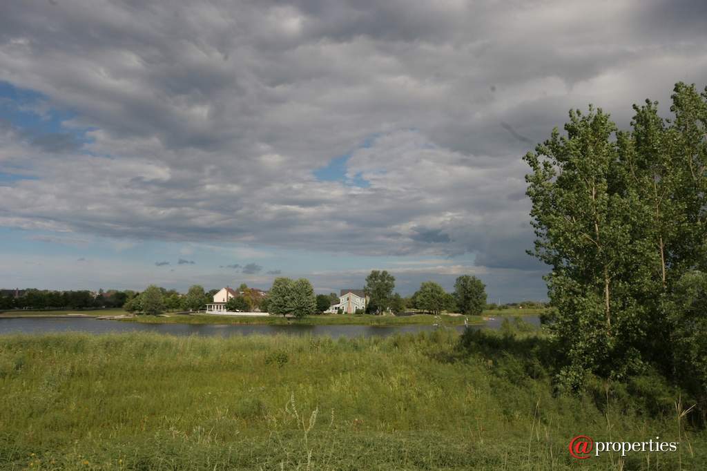 1128 Hedgerow Drive Grayslake, Illinois 60030 - Image 44