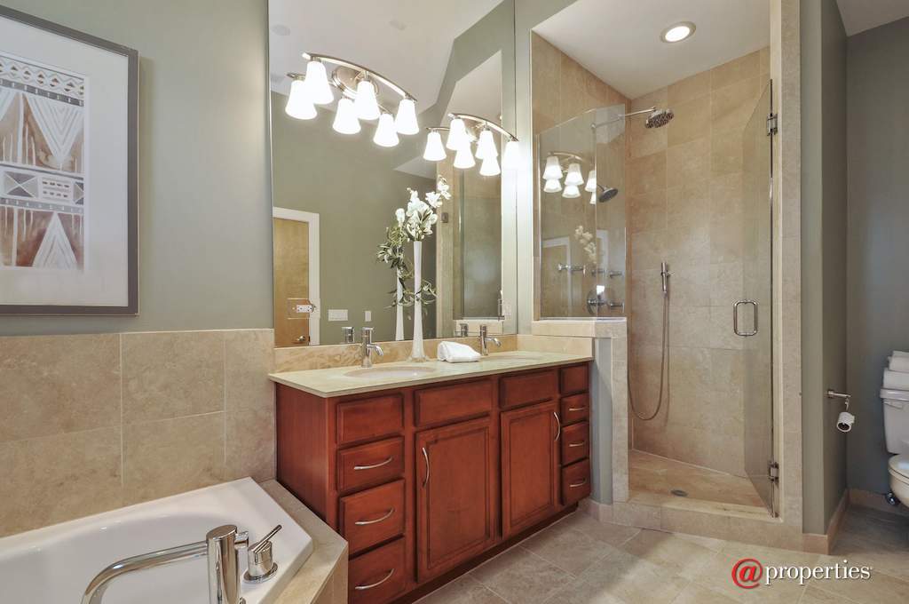 2342 W North Avenue #301 Chicago, Illinois 60647 - Master Bathroom