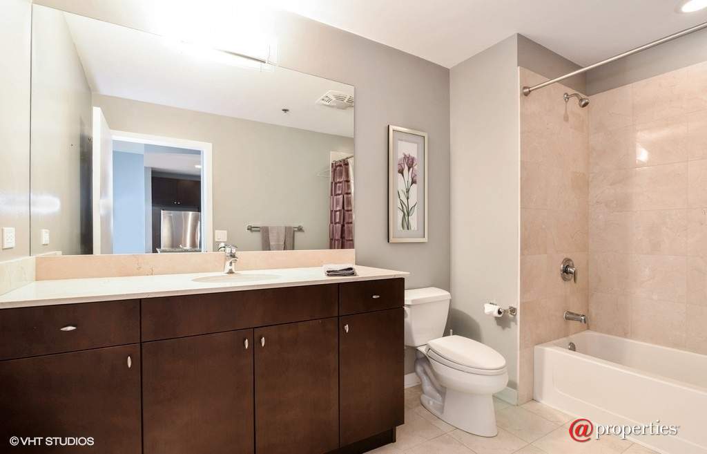 303 W Ohio Street #3609 Chicago, Illinois 60610 - Bathroom