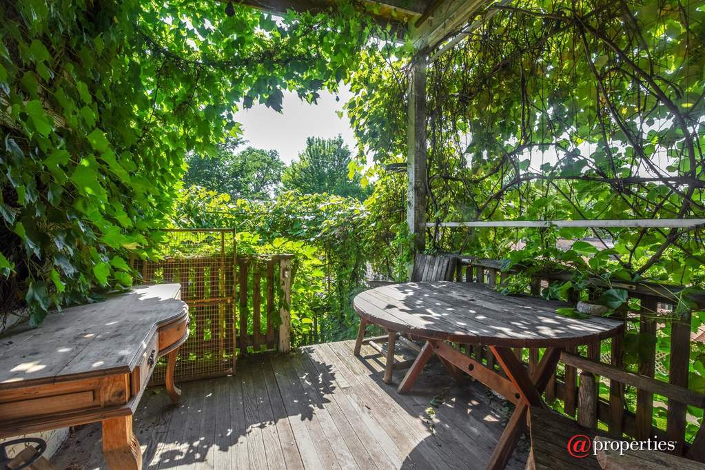 6649 N Rockwell Street Chicago, Illinois 60645 - Back Yard