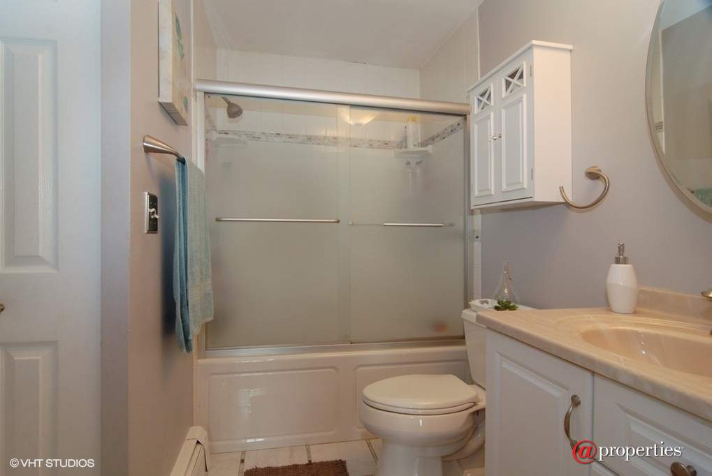 370 Echo Lane #3 Aurora, Illinois 60504 - Bathroom