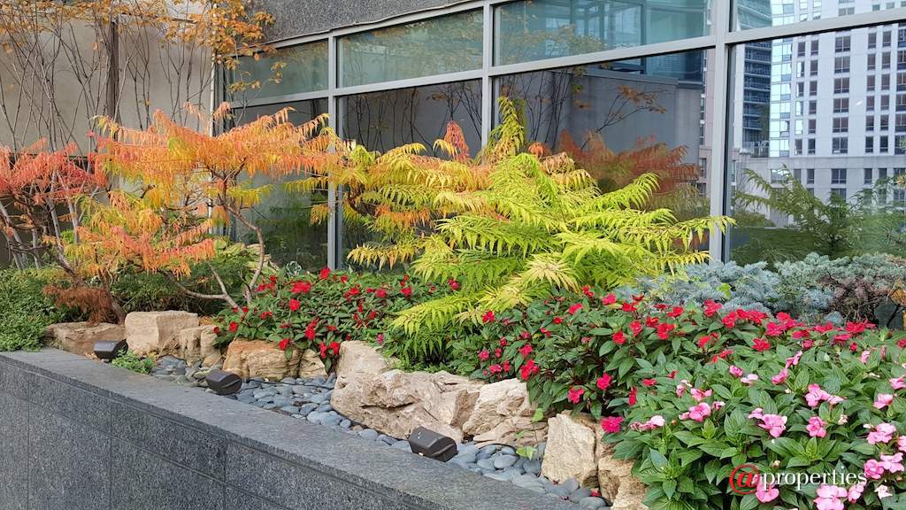 420 E Waterside Drive #512 Chicago, Illinois 60601 - Lakeshore East Park