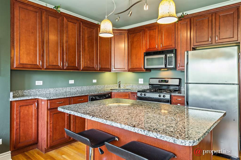 550 W Deming Place #3 Chicago, Illinois 60614 - Kitchen