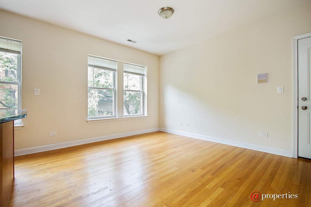 3005 N Clifton Avenue #201 Chicago, Illinois 60657 - Living Room