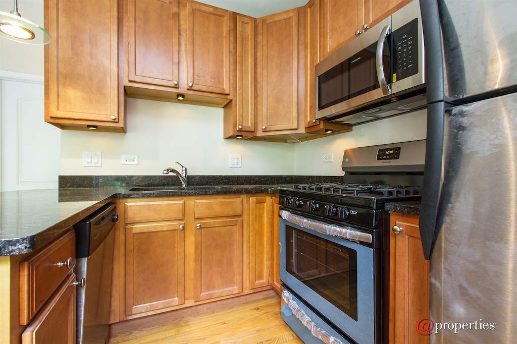 3005 N Clifton Avenue #201 Chicago, Illinois 60657 - Kitchen