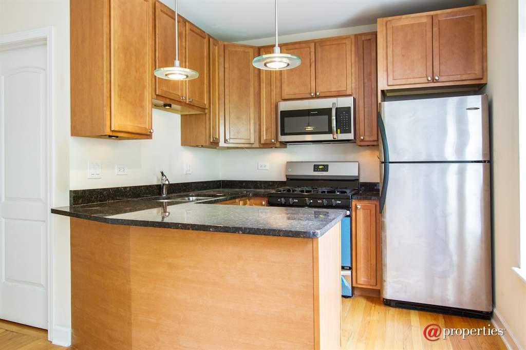 3005 N Clifton Avenue #201 Chicago, Illinois 60657 - Kitchen